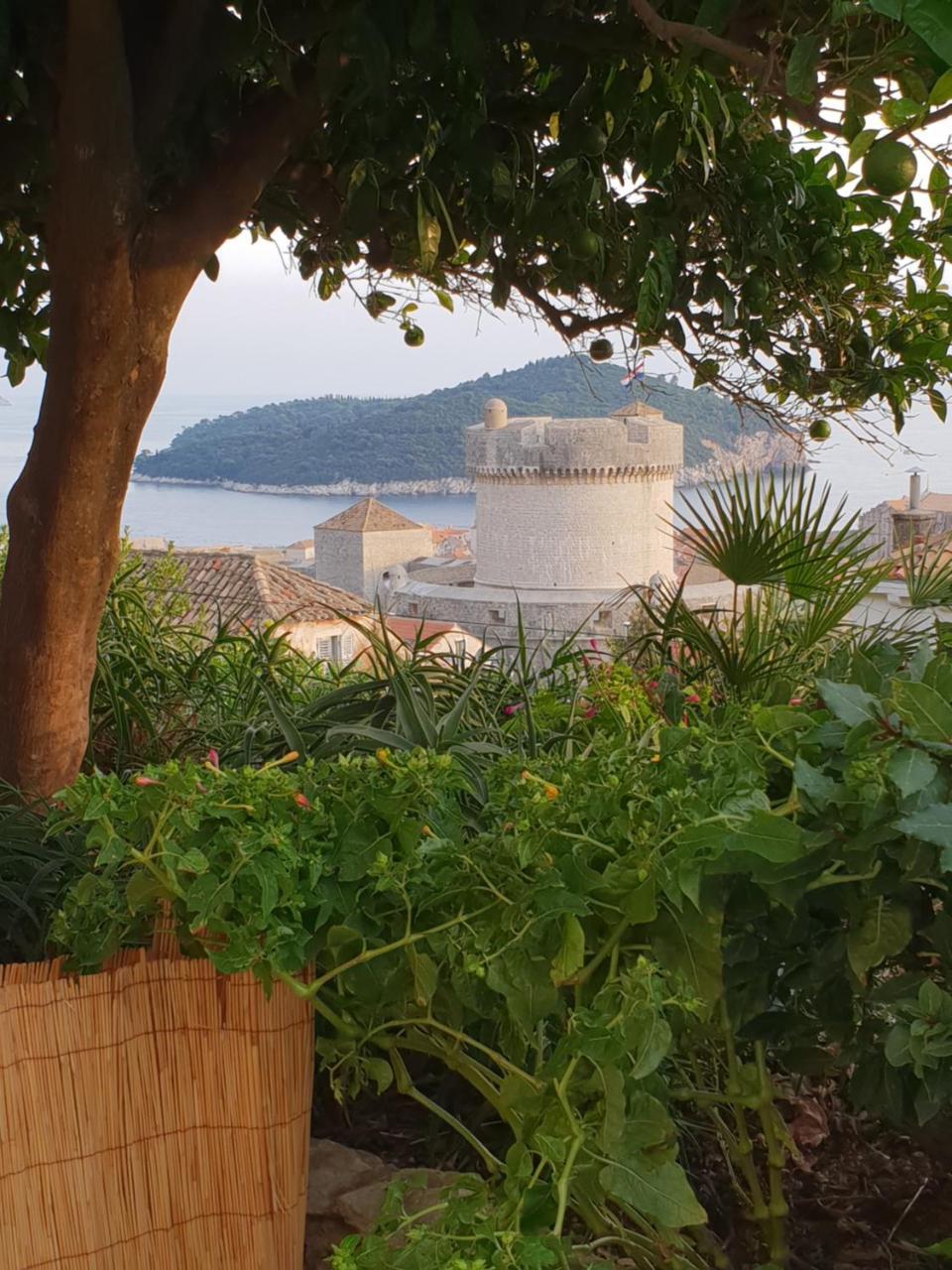 Apartment Bruana 5 Dubrovnik Dış mekan fotoğraf